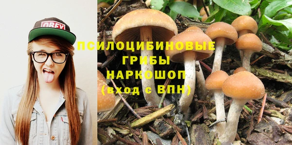 прущие крисы Баксан