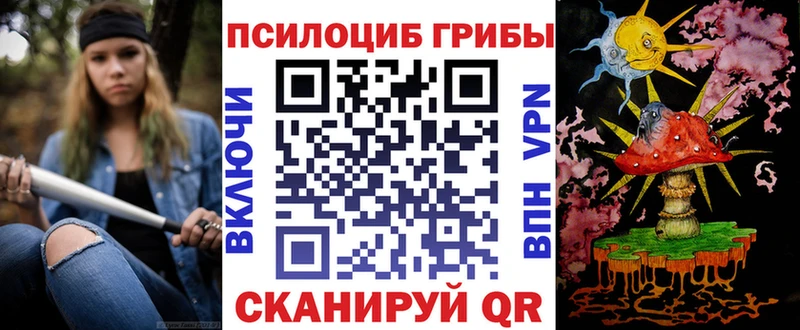 Псилоцибиновые грибы Psilocybine cubensis  Ленск 